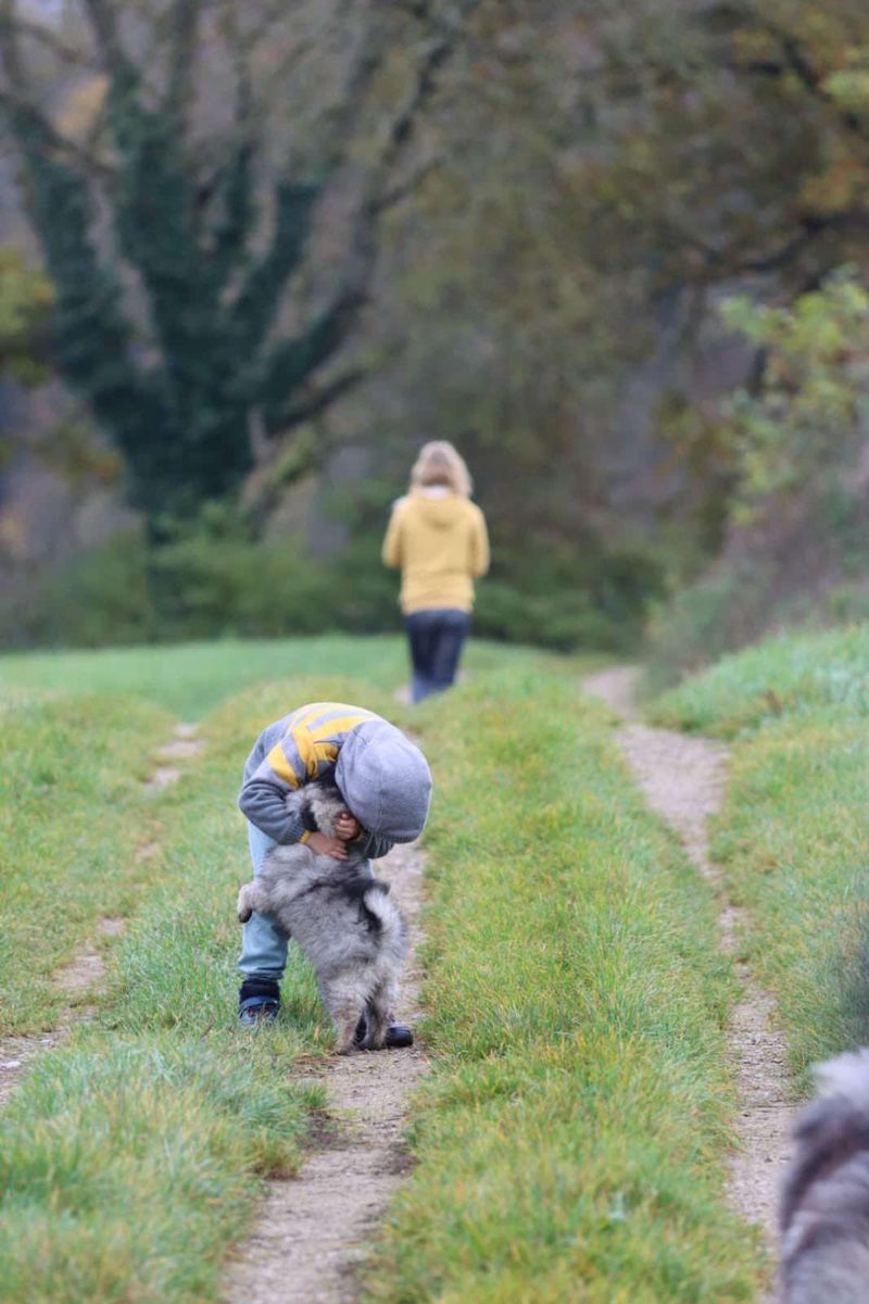 Notre quotidien avec nos chiens — photo 1