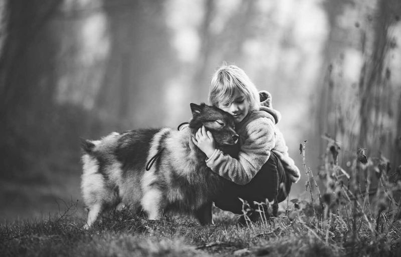 Nos chiens — photo 1