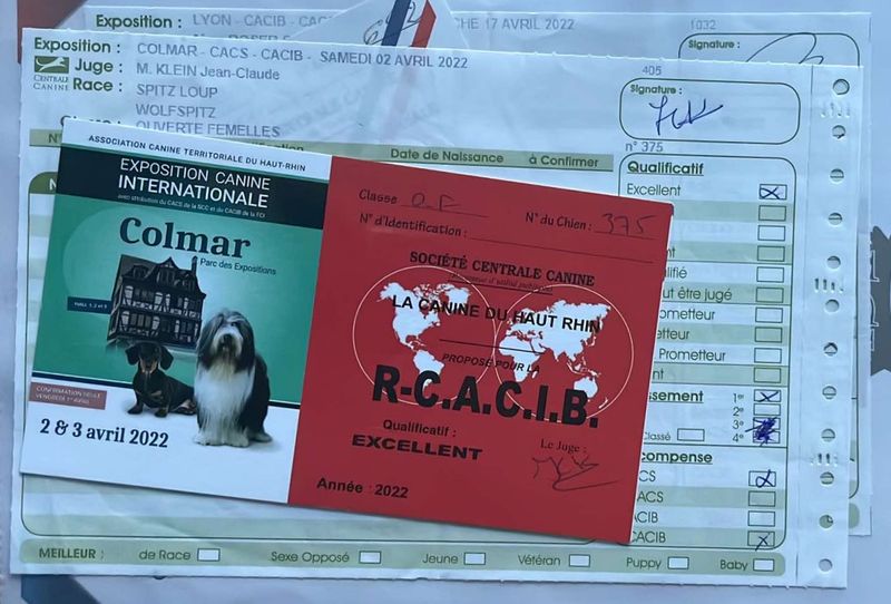 Rmione reproductrice