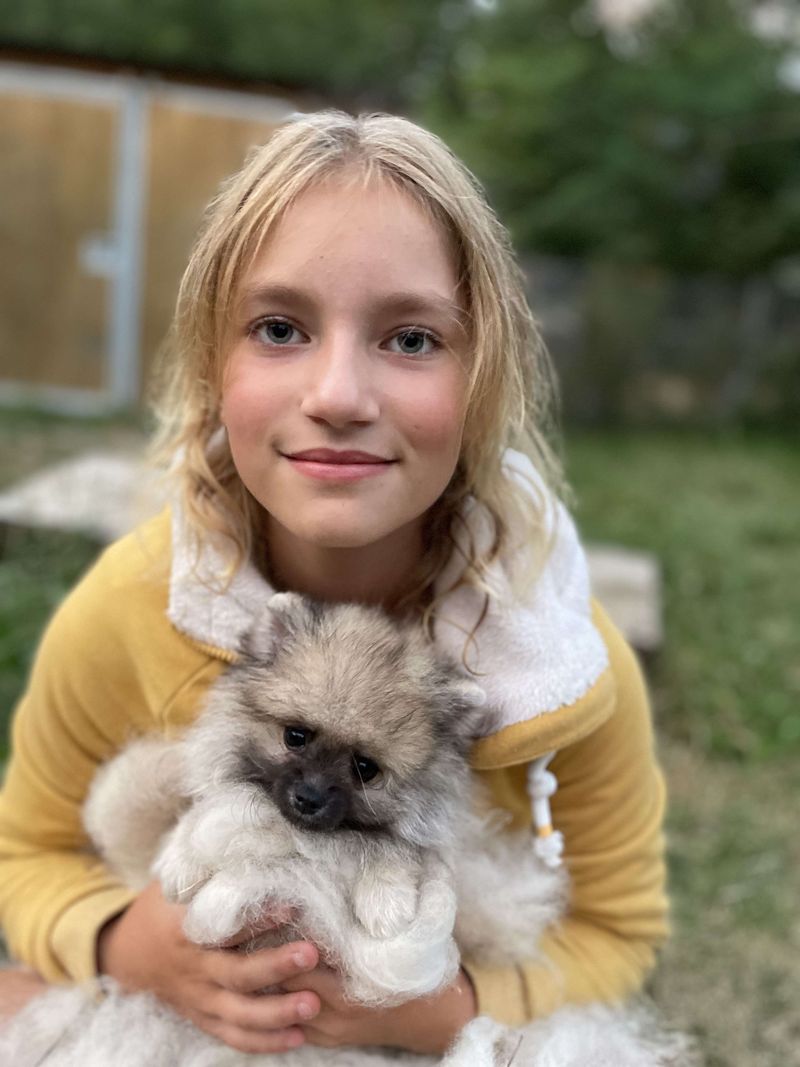 Notre quotidien avec nos chiens — photo 1