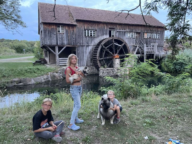 Notre quotidien avec nos chiens — photo 1