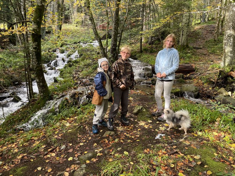 Notre quotidien avec nos chiens — photo 1