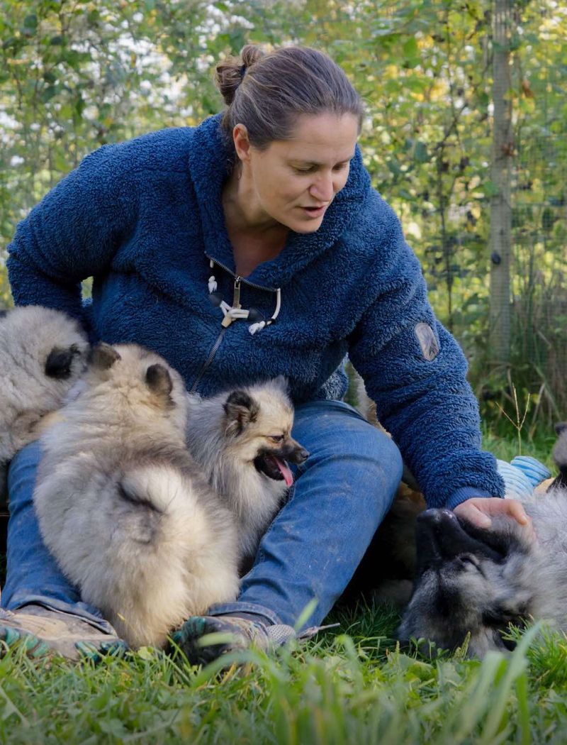 Notre quotidien avec nos chiens — photo 2