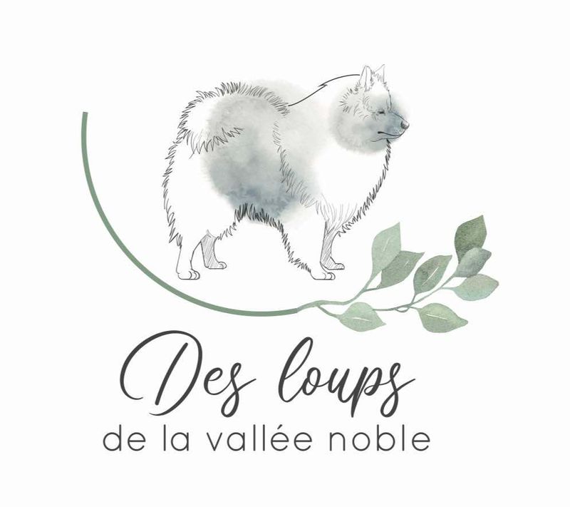 Logo de l'élevage des Loups de la Vallée Noble