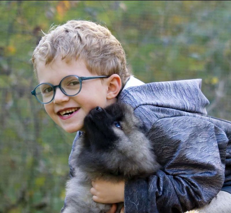 Notre quotidien avec nos chiens — photo 1