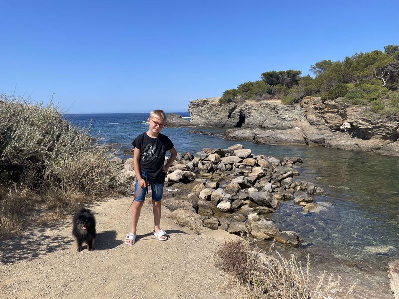 Notre quotidien avec nos chiens — photo 1