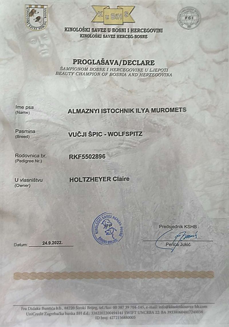 Ilya reproductrice