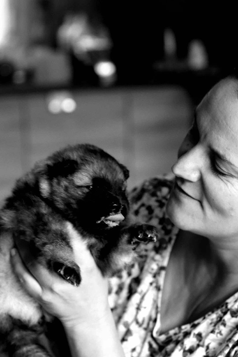 Notre quotidien avec nos chiens — photo 3