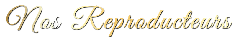 Nos reproducteurs