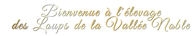 Accueil
