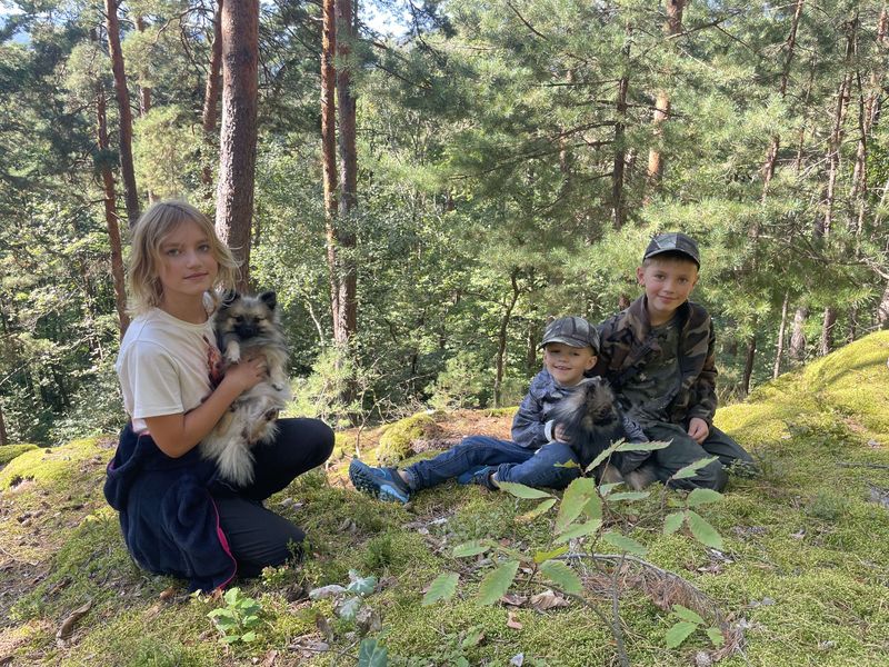 Notre quotidien avec nos chiens — photo 2