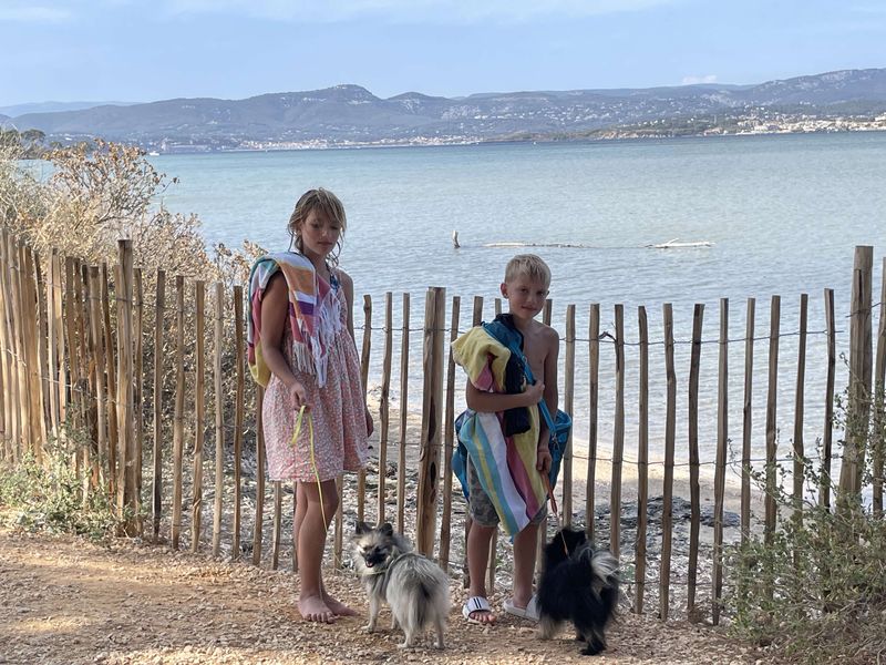 Notre quotidien avec nos chiens — photo 2