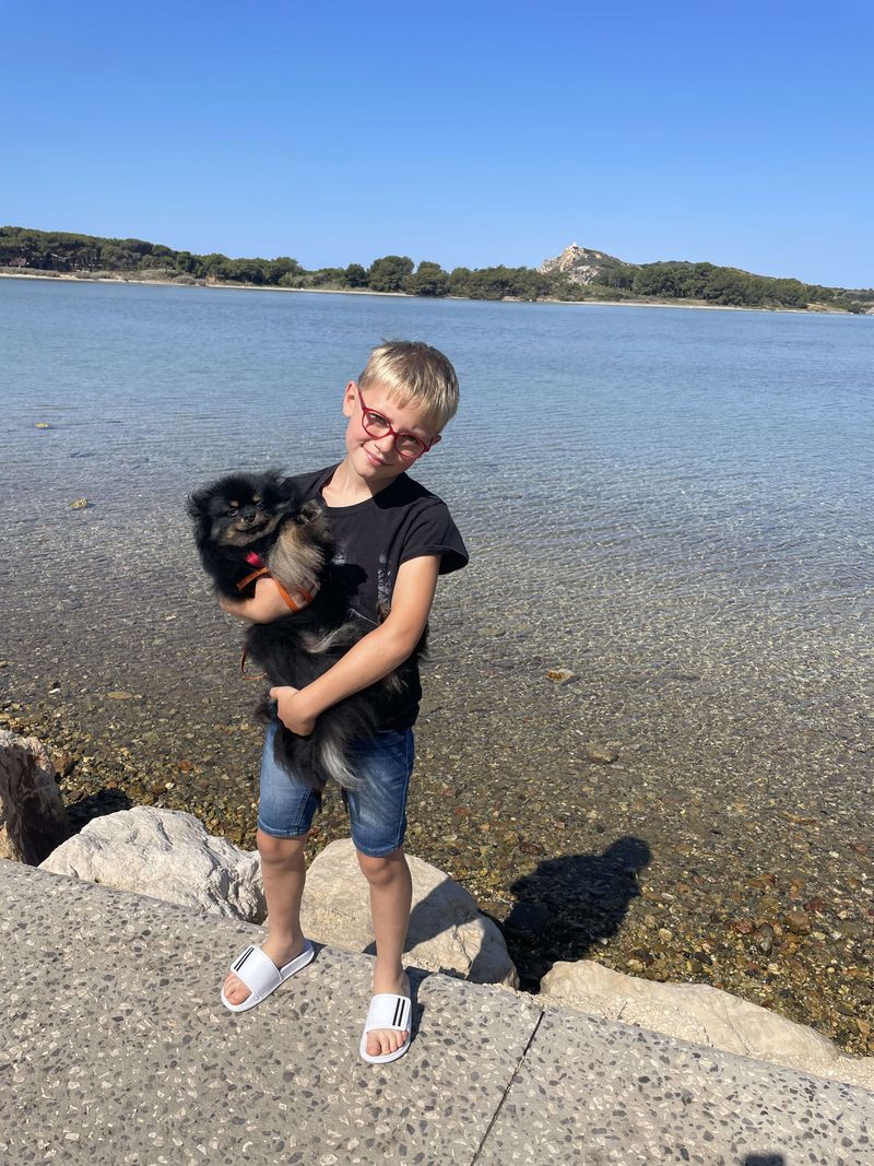 Notre quotidien avec nos chiens — photo 2