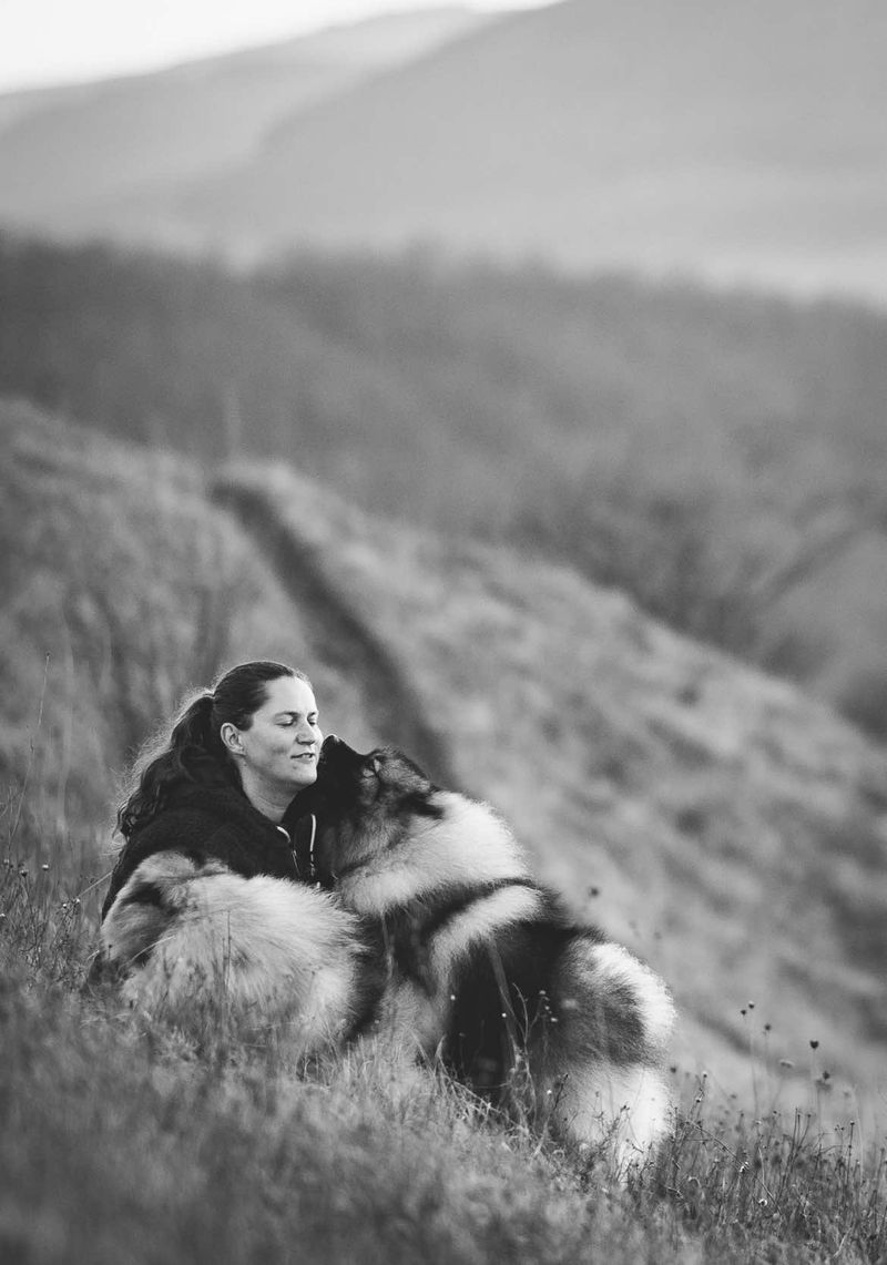 Nos chiens — photo 2