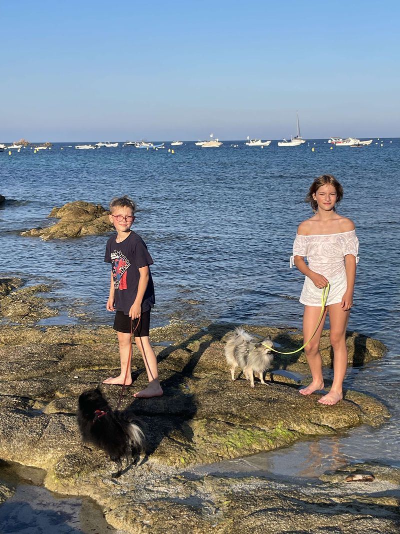 Notre quotidien avec nos chiens — photo 2