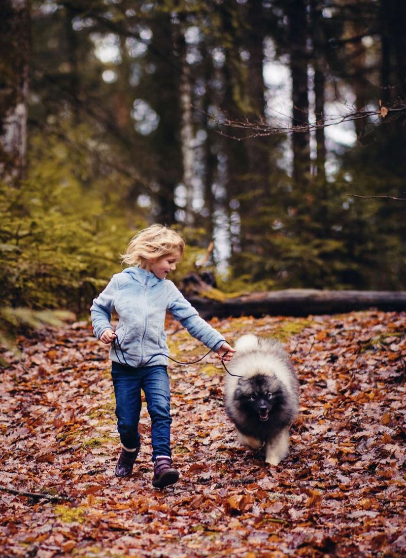 Bienvenue aux Loups de la Vallée Noble