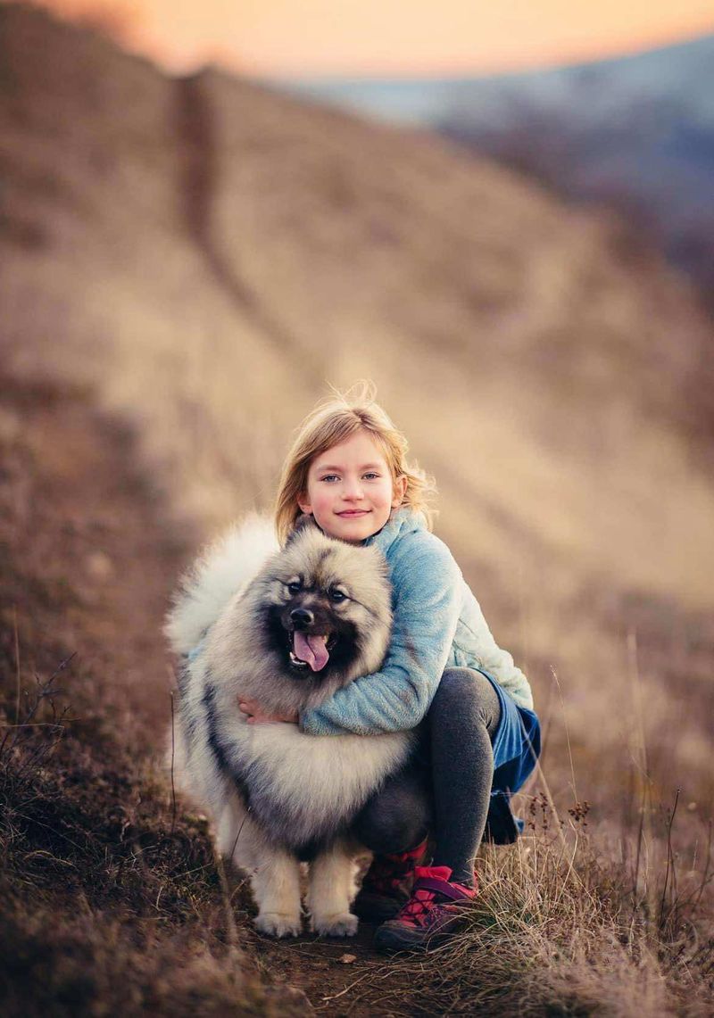 Bienvenue aux Loups de la Vallée Noble