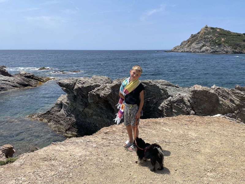Notre quotidien avec nos chiens — photo 1