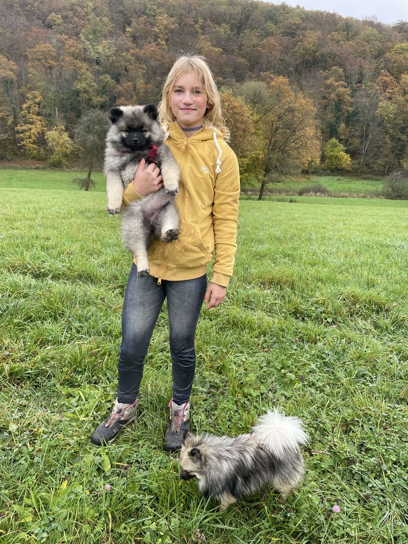 Notre quotidien avec nos chiens — photo 2