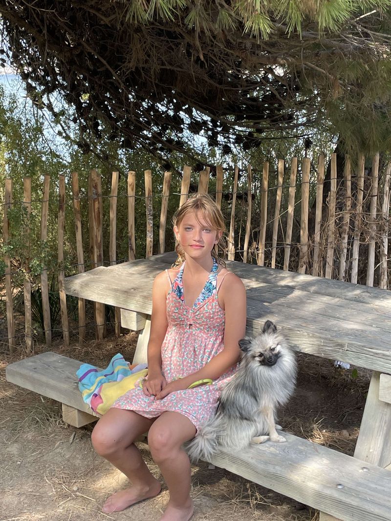 Notre quotidien avec nos chiens — photo 2